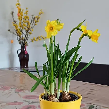 Berlin - Potsdam - Flaeming شقة *