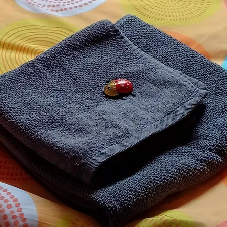 شقة Berlin - Potsdam - Flaeming Trebbin