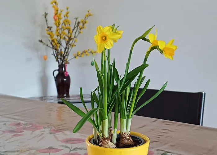 Berlin - Potsdam - Flaeming شقة *